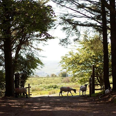 Wheal Tor Hotel & Glamping Liskeard Exteriör bild