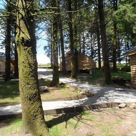 Wheal Tor Hotel & Glamping Liskeard Exteriör bild