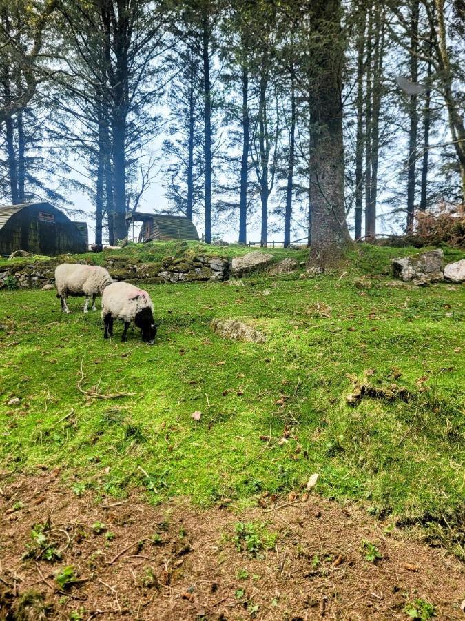Wheal Tor Hotel & Glamping Liskeard Exteriör bild